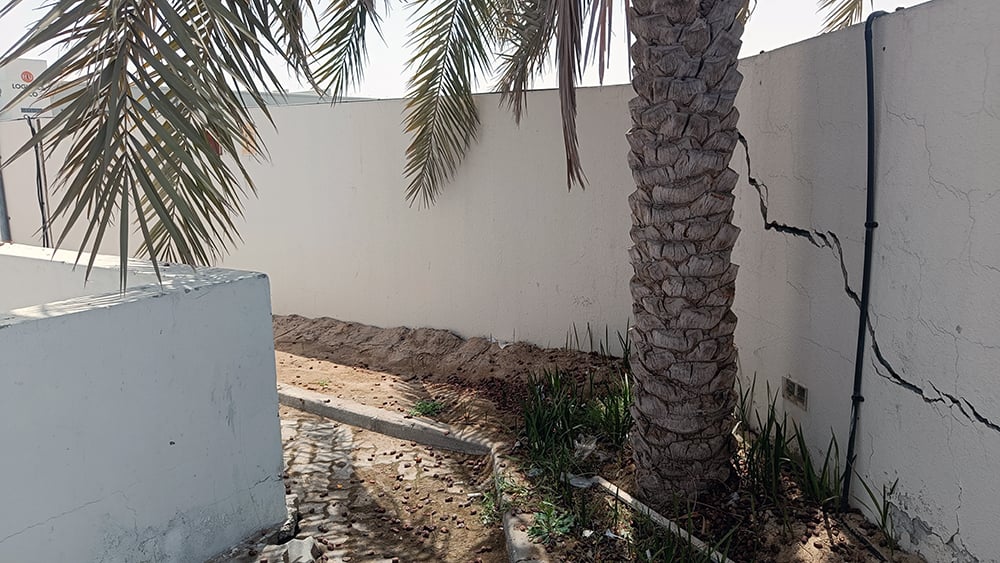 Villa boundary wall with large ground settlement caused cracking behind a palm tree