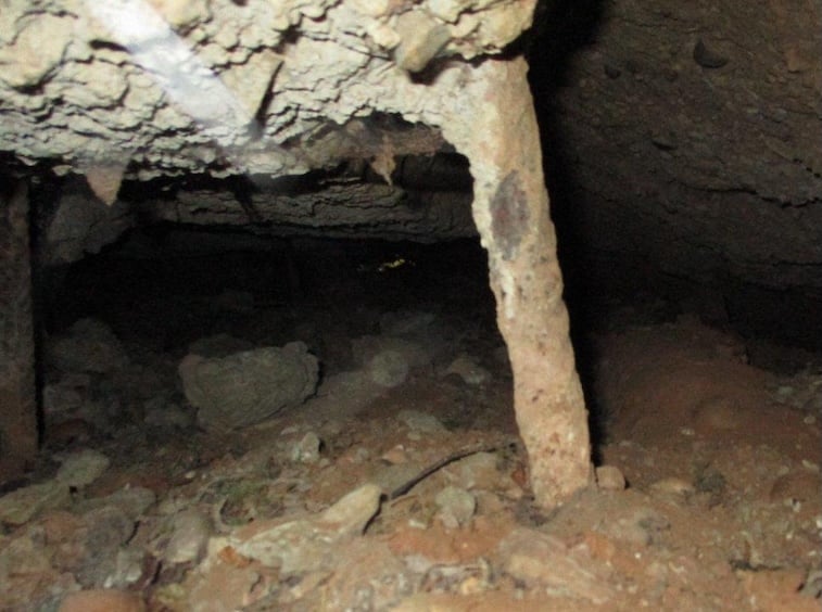 infra voids body image