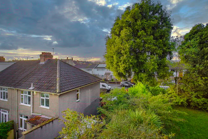 Tree-related subsidence stabilised without tree removal