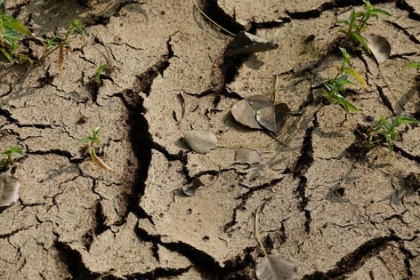 Soil Ravelling Exploring the soil cavitation in erosion and landslides - Geobear UAE