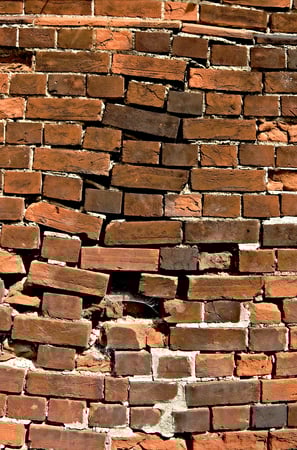 Why Do Tree Roots Cause Subsidence?