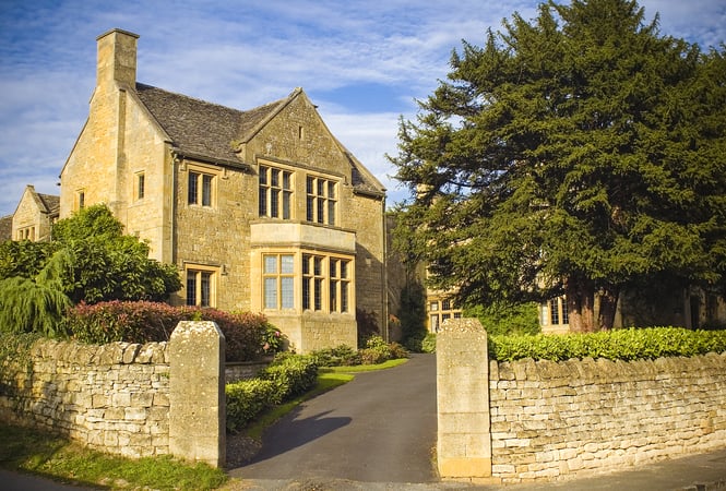 Which Trees Are Most Likely to Cause Subsidence?