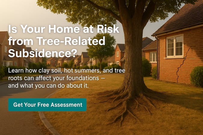How Trees & Dry Weather Cause Subsidence