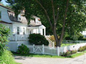 house with tree in the front yard