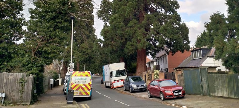 Subsidence and Trees