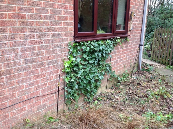 Homeowner talks about Geobear solution