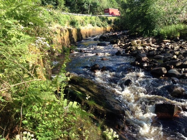 Exploring the Environmental Impact of Polymer Injection