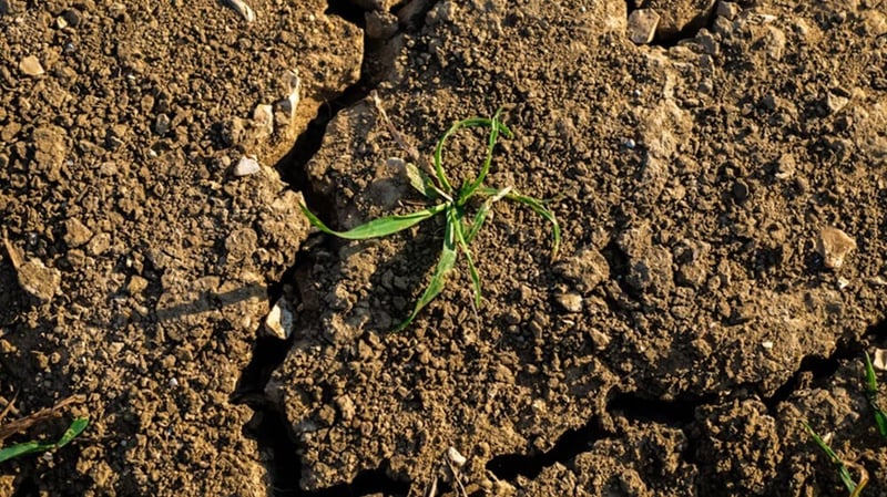 Applications in Geopolymer: Compromised Soil