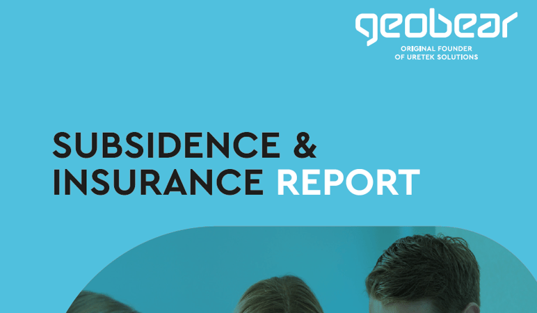 Subsidence Report
