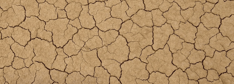 Saven kokoonpuristuminen