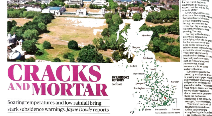 Geobear in The Sunday Times