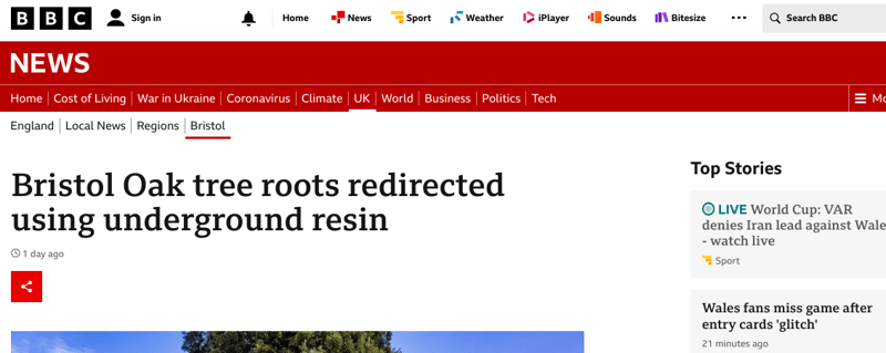 BBC News Cover Geobear