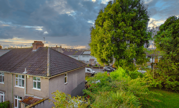 Subsidence & Climate Change: What Role Does the Environment Play?