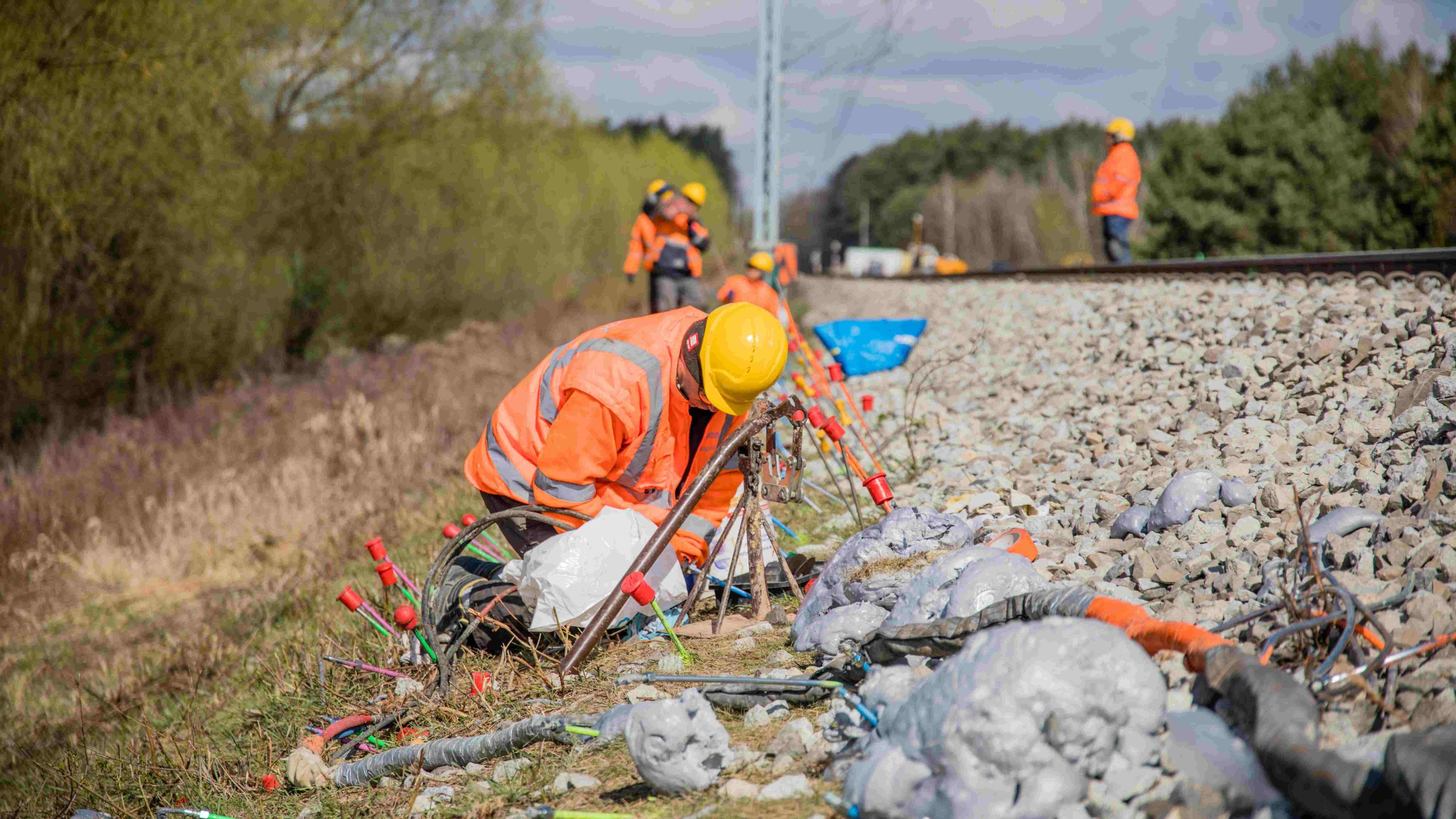 Geobear Krosnica ziemia (18 of 29) (1) (1)