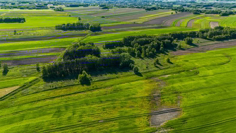 Zielony obszar w centralnej Polsce