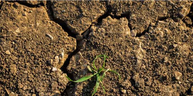 What types of soil are most vulnerable to subsidence?