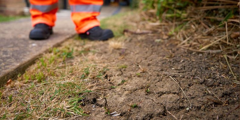 Hur torka påverkar din villa och trädgård