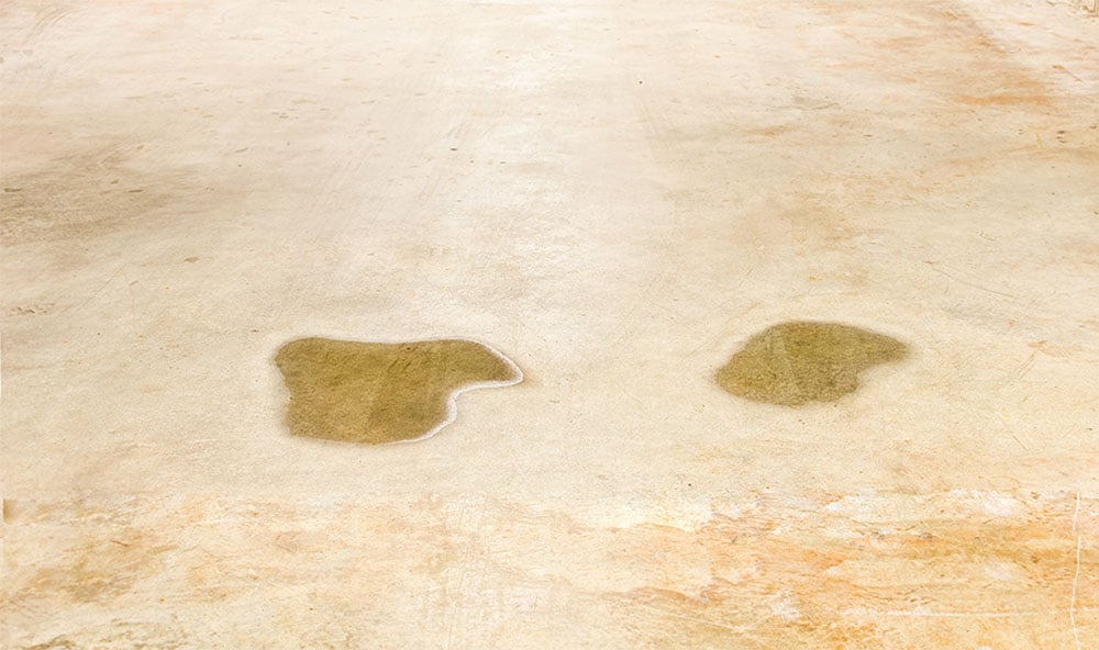 Vattenansamling på golvet