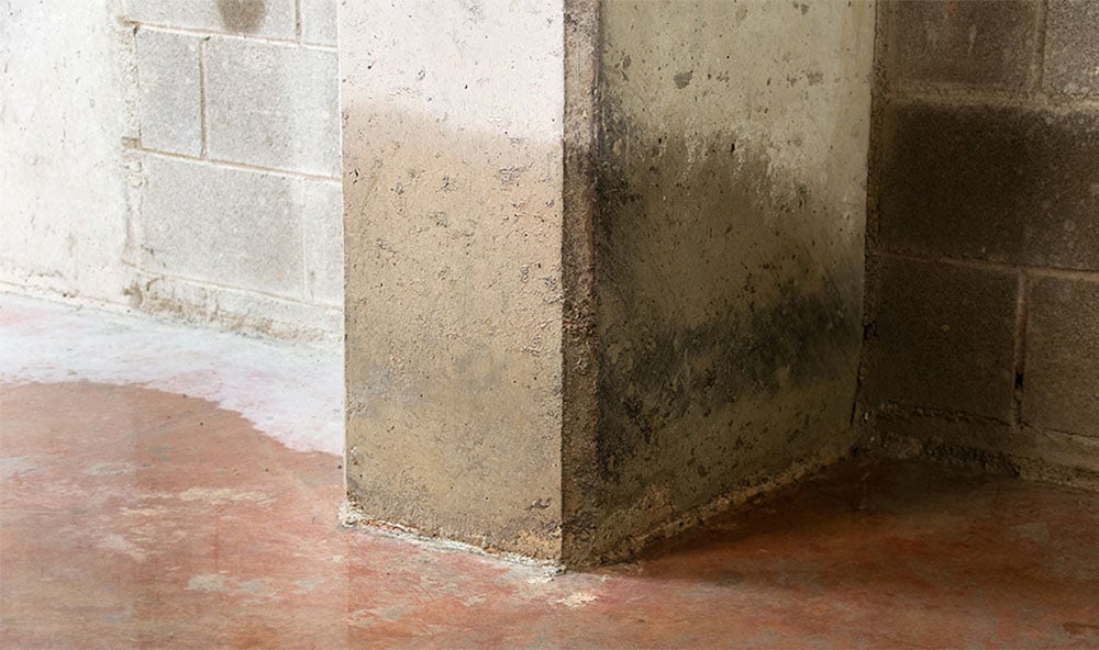 vattenläckande betongblockvägg Geobear