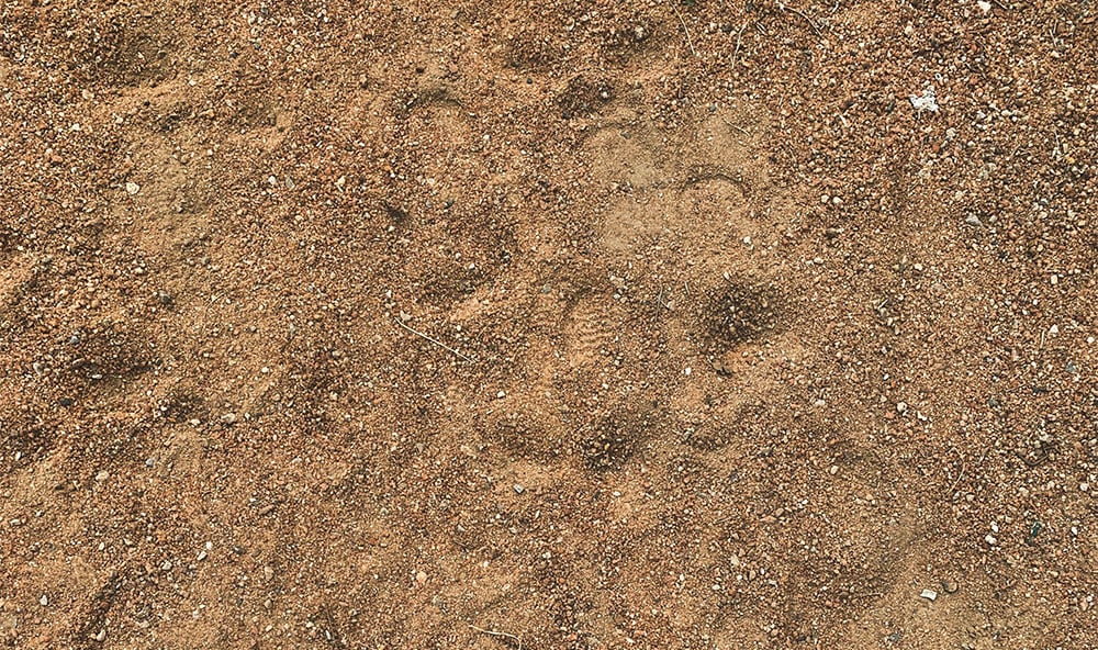 Sand och grus sättningar