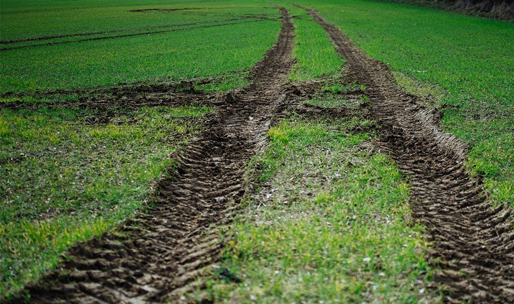 Spår av traktor på en lerig åker med gräs. Dålig markpackning.