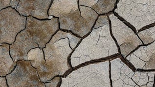 Torkad brun lera som spruckit med många sprickor
