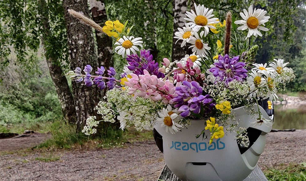 Geobears vit skyddshjälm med fylld med olika blommor, svensk natur och träd i bakgrunden.