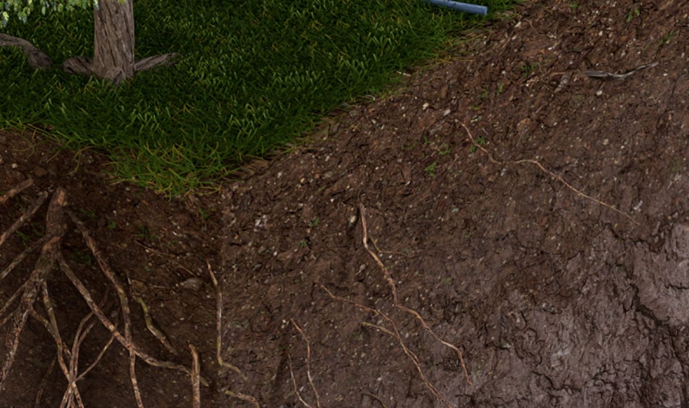 3D bild på rötter i marken som orsakat sättningar.