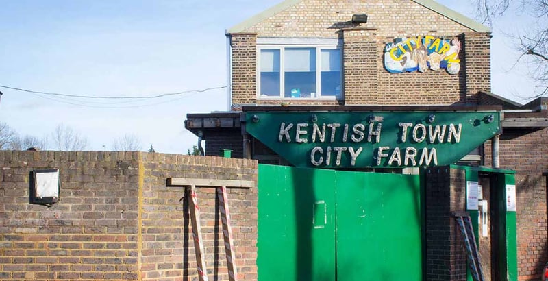 London slab re‑levelling – Kentish Town City Farm