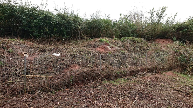 Stabilisation of canal bank