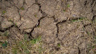 View of dry, cracking clay soil with a little green grass on the edges. Deep cracks are visible in the soil.