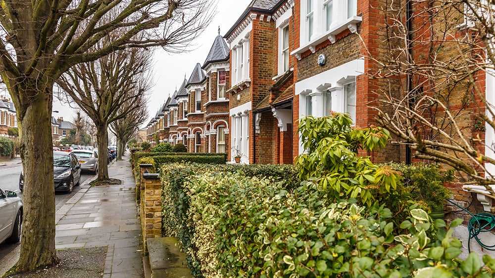 External view from pavement of row of terraced homes with trees on the left side of the pavement and shrubs on the right