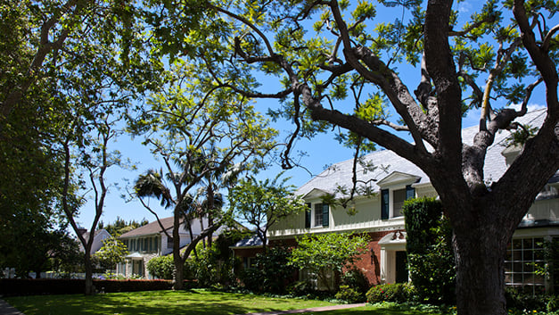View of California residential single family home with large trees in front yard.
