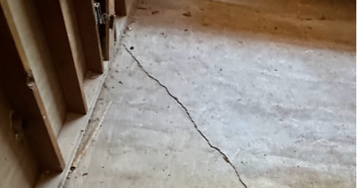 What to Expect When Treating Your Home